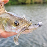 Rapala CrushCity The Mayor Lures 6cm